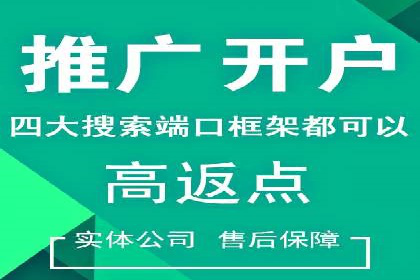 百度运营推广策略解析，看这些成功案例